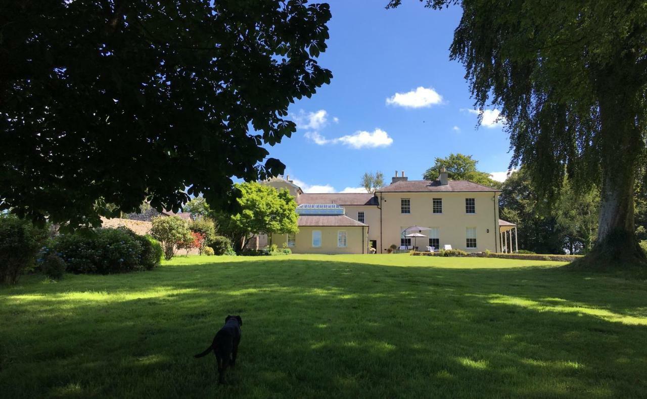 Llwynhelig Manor Acomodação com café da manhã Llandeilo Exterior foto