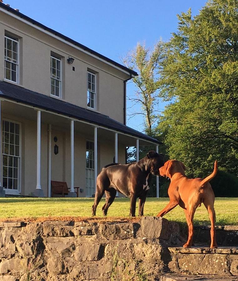 Llwynhelig Manor Acomodação com café da manhã Llandeilo Exterior foto